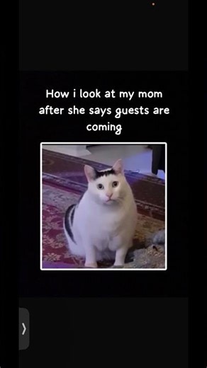 Random idea + random song 👽