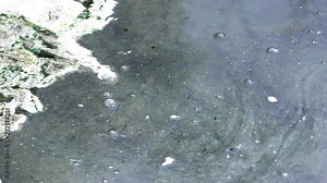 A polluted, bubbling, boiling, fermenting sulfur stinking mineral hot spring, with floating leaves and dirt Stock Video