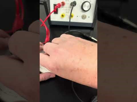 Series and Parallel circuits set up in the lab