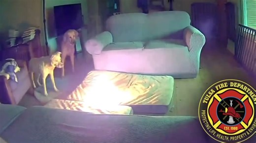 Dog chews through portable charger, sparks house fire in Tulsa