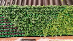 #Vertical_Bio_Wall #Automatic_Water_Irrigation Systems installation. Client : Islam Group Location : Baridhara Diplomatic Zone. Dhaka. If you are Interested to make Vertival Bio Wall at your place . Please Call / Whatsapp : 8801717-912582 or Send message to page inbox. Thank you. | Smart Garden