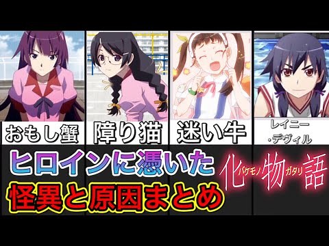 Bakemonogatari. Mystery possessed by the heroine and summary of causes