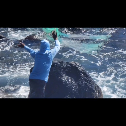 Throwback throw net! Ocean to table.🤙🏽 #hunacamohawaii #hunacamo #hunacamomakai #hawaiihunters #hawaiifisherman #hawaiicamouflage #hawaiicamo #madebyfisherman #thrownet #thrownethawaii #fishing #fish #fishinglife #outdoors #nature #fishingislife #fishingtrip #fishingaddict #fisherman #saltwaterfishing #hunting #fishingdaily | Huna Camo Hawaii