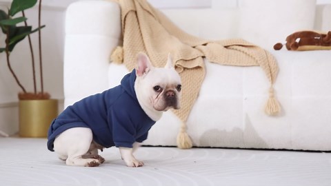 VIKAYAMICS Oversized Modular Sectional Sofa, Couch with Movable Ottoman, Chenille Deep Seat Sectional Sofas Comfy Modern Sofa Couches for Living Room, DIY Combination (Grey, L Shape 6 Seat)