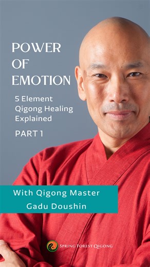 Five Elements Healing is a powerful way to heal yourself using your emotion. In this series of videos, Gadu will explain how to bring balance and serenity into your life by balancing your emotion. You can get even more powerful healing by combining positive emotional energy with Spring Forest Qigong movements in Five Element Healing Movements!!! | Spring Forest Qigong