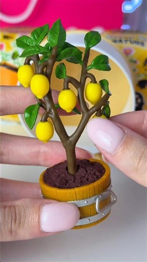 Growing a mini garden at home😱🍋#tiousv85 #surprise #unboxing #minibrands #miniverse