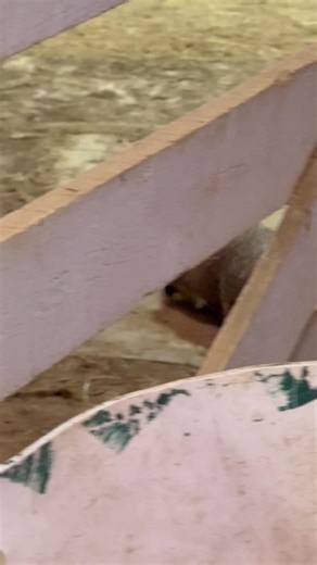 Jessica Johnson on Reels