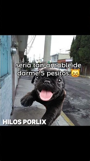 hey buddy 🥀 #humor #threads #memes #mexico
