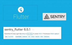 flutter_sentry，发布后程序崩溃不要怕，有sentry自动收集崩溃信息，快速定位异常原因，运行环境，设备型号，异常堆栈一目了然。