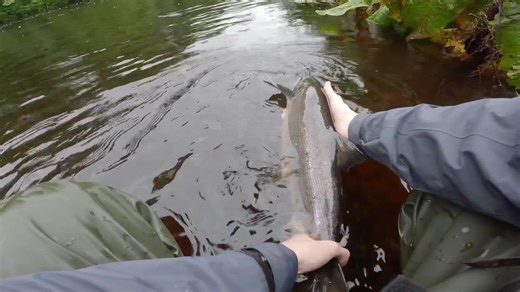 gonefishing_ireland on TikTok