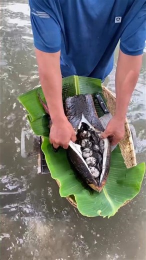 Gourmet GONE WILD: Grilled Squid with Ink in a River!