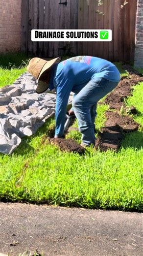 Drainage Solutions: Effective Yard Drainage for Healthy Landscapes