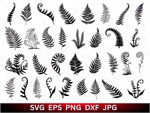 Fern Leaf SVG Bundle: Botanical Silhouette, Boho Clipart (instant Download) - Etsy Canada