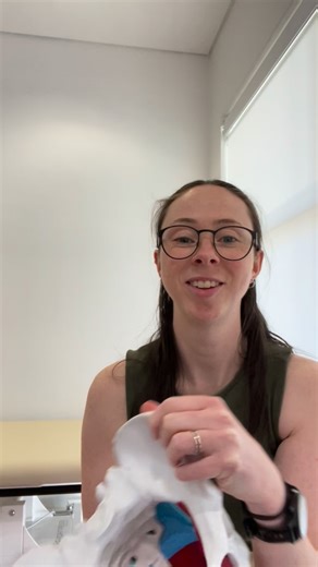 Let me introduce…. YOUR PELVIS! The cornerstone of the body. And a pretty incredible structure at that. #pelvis #anatomy #pelvicphysio #physiocanberra | Physio by Jess