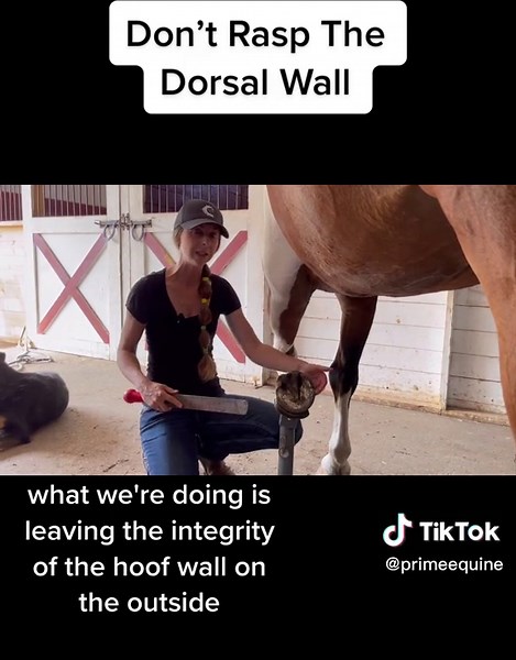 Effective Solutions for Flare in Horses