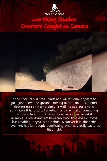 183K views · 1.7K reactions | ️ “Low-Flying Shadow Creature Caught...