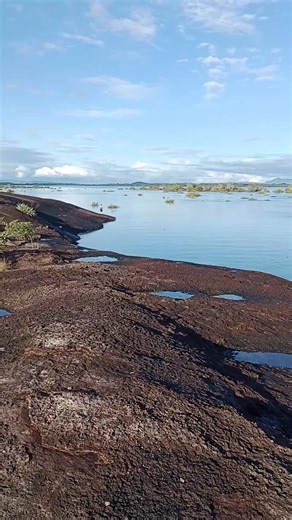 Puerto Carreño! Río Bita, temporada de aguas altas | Viajeros del Orinoco