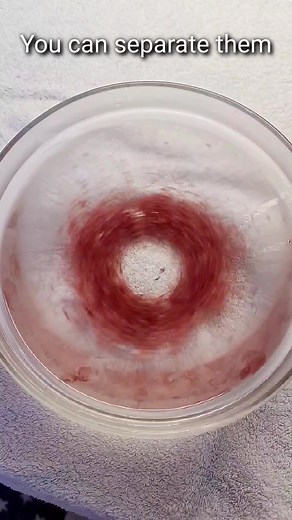 Exploring the Fascinating World of Tubifex Worms