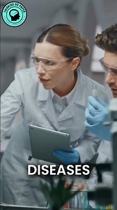 can technology actually make us more equal and more free?