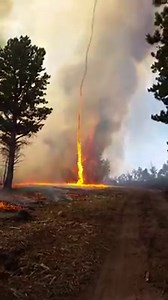 VIRAL VIDEO: This rare video captures the formation of a fire tornado. The phenomenon happens when a vortex of hot or dry air is mixed with fire that rapidly shoots upward in a column. Video via Beaver Creek Fire | WINK News