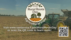 3.2K views · 25 reactions | Celebrate the heart of Santa Rosa County...