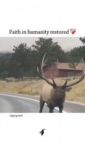 GetGoated | Motivation | Inspiration | Consistent Growth | Watch until the end 💯🐐👑 Follow @get.goated to start your journey to getting goated 🧠🐐 Credits to respective owner 🎥 (DM for... | Instagram