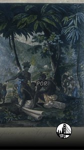🇧🇷 The untold stories of enslaved Africans in Brazil reveal a history of unimaginable struggle and profound resilience. 🌍💔 Between the 16th and 19th centuries, nearly 5 million Africans were forcibly brought to Brazil, making it the largest recipient of enslaved people in the transatlantic slave trade. 🚢 Upon arrival, they were auctioned in cities like Rio de Janeiro and Salvador before being sent to work on sugarcane plantations, coffee farms, and gold mines. 🌾☕⛏️ The conditions were brut