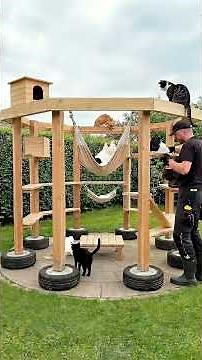 Ultimate Outdoor Cat Playground Build 🐱