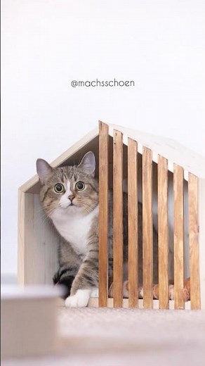 Eine DIY-HÖHLE für deine Katze! #shorts #wolfcraft #katzen