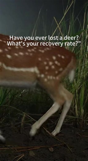 You learned all the tracking tricks from a veteran—but UV tech? Probably not. This flashlight turns the tiniest blood spot into an unmissable trail. Don’t let old-school tips cost you a trophy. #BloodTracking#DeerHunting#HuntingGear#UVLight#HuntingTips