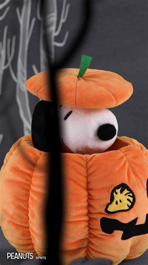 100K views · 29 shares | Peek-a-BOO!  Find Snoopy and more fun fall Peanuts® products at Hallmark.com and in Hallmark Gold Crown stores. | Hallmark Gold Crown Stores | Facebook