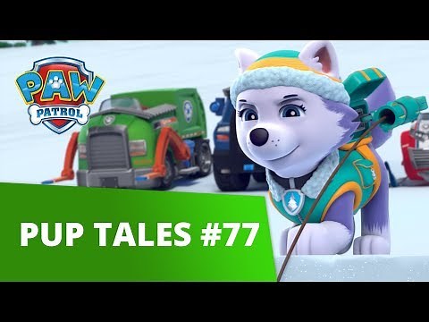 PAW Patrol - Pups Save a Sleepwalking Bear - Rescue Episode - PAW Patrol Official & Friends!