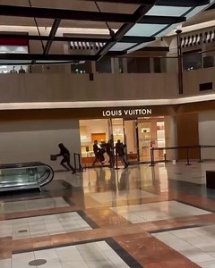 THIEVES STEAL $66K IN LOUIS VUITTON BAGS FROM NORTHBROOK COURT MALL IN CHICAGO POLICE SAY | Nyarkotv