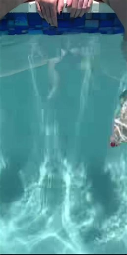 Krista Thurston on TikTok