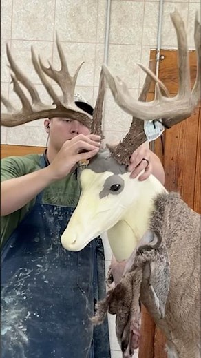 How To Mount a 220” Buck In 60 Seconds!