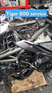 Triumph Tiger 800 Service #triumph #adventurebike #motorcycle #servicing #bikelife