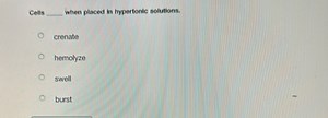 Cells  when placed in hypertonic solutions.crenatehemolyzesw... | Filo
