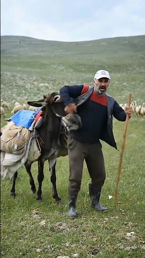 Man and Donkey 🐴🐎🐴🐎🐴 #wildlife #animalworld #aivideo #ai #funny #donkey #man
