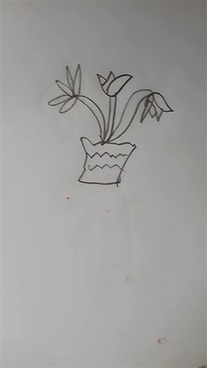 How to drwing flower 🥰🪴🪴 #100kvews #drawling #art #flowers #reels #viralvideos