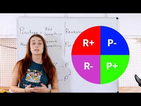 The Easiest Way to Learn Operant Conditioning