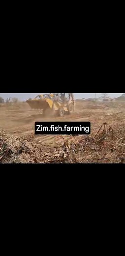 11 reactions | Work in progress, we offer all services from site visit, water testing, pond Construction, supply of damliners, fingerlings, feeds, fish farming trainings, project management #WaterReservoirs Construction #Fishponds construction #fingerlingsforsale #fishfeed #Damliners #FishFarming #fishfarmingbusiness Contact 0717420124 Whatsapp 0r calls | Zim.fish.farming | Facebook