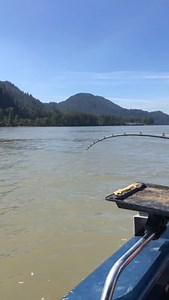 542K views · 52K reactions | The one to remember  wild times on the Fraser River fishing white Sturgeon. | Mainlanders SportFishing | Facebook