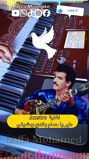 🎻🎹عازف الأورك محمد zaffa يبدع في Anstre اغنية عبد الغاني الانصار طيري ياحمام بلادي ومشيتي🔥مرحباً بكم في صفحتي المتواضعة! | Mohamed zaffa