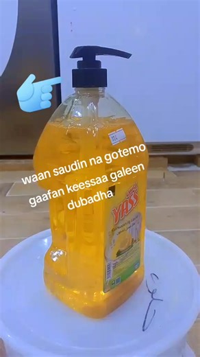 فيديوهات أنشأها obsi kayyoofi (@obsi.kayyoofi0) باستخدام original sound - ehculo