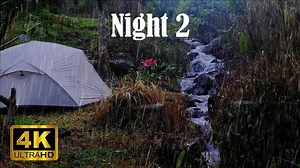 198K views · 8.7K reactions | Solo Camping IN RAIN BY THE CREEK • CAMPING IN RAIN WITH COZY TENT | Solo Survival Bushcraft | Facebook