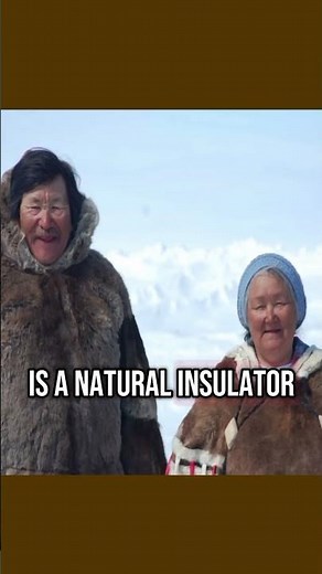 How the Inuit Survive the Harsh Arctic | Amazing Indigenous Life Hacks! #shorts
