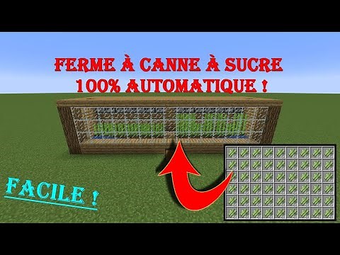 [TUTO] Ferme à canne à sucre 100% automatique et facile à faire sur Minecraft ! 💖