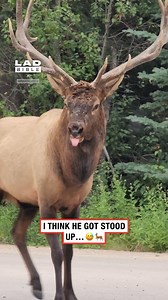 He doesn't take rejection well 😅 | LADbible