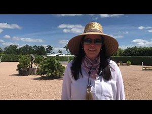 What's in Your Arena? | Jenny Dunion