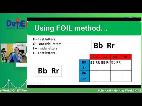 Science 8 - Monday Week3 Q4 ETUlay